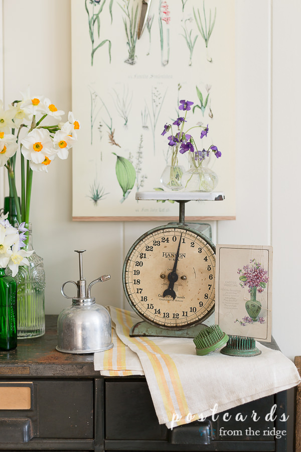 Garden-inspired decor. Love all of these easy ways to add some garden-inspired decor to your home! #homedecor #gardendecor #cottagedecor #vintagedecor vintage botanical collage and mister as cottage garden decor